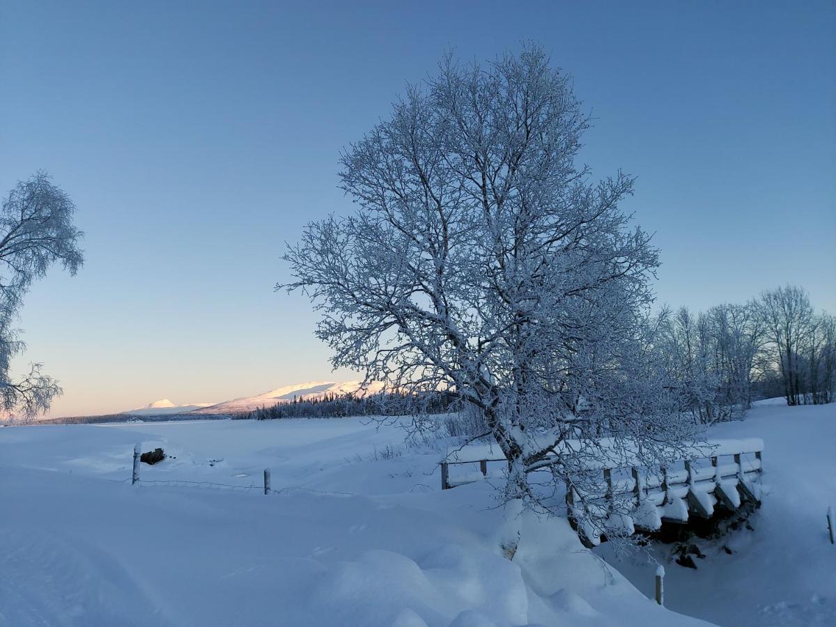 Villmarksgard Tommerstue Hattfjelldal Zewnętrze zdjęcie