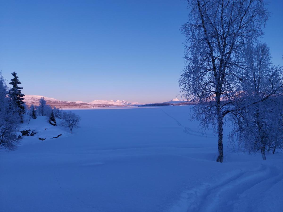 Villmarksgard Tommerstue Hattfjelldal Zewnętrze zdjęcie