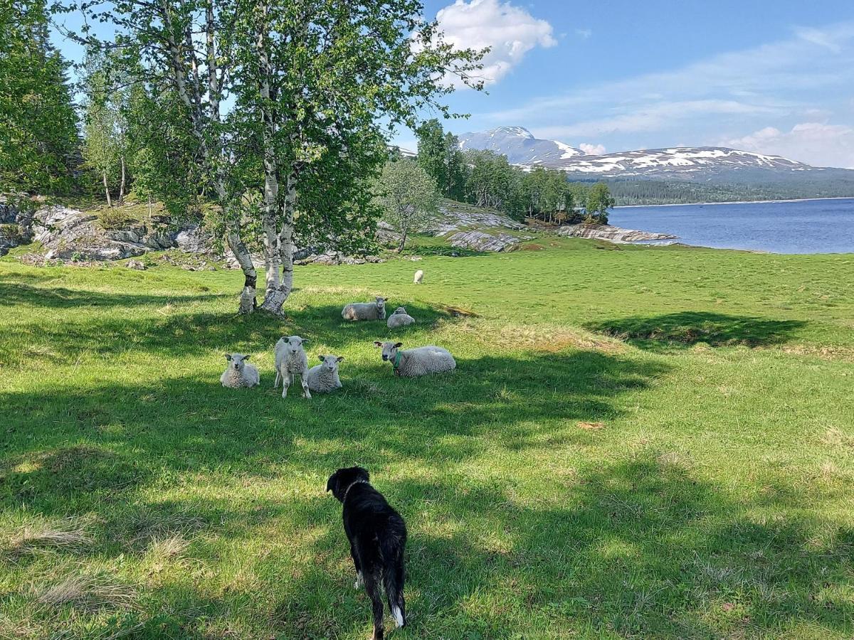 Villmarksgard Tommerstue Hattfjelldal Zewnętrze zdjęcie
